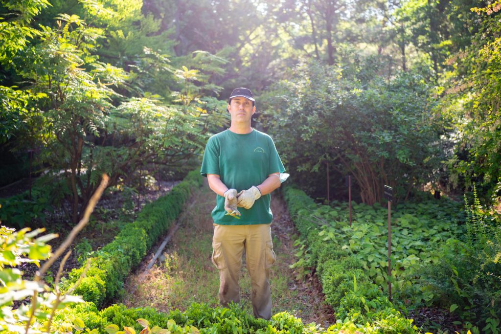 Portrait of Madrid’s Royal Botanical Garden workers – MNF