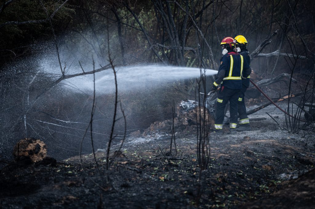 We're currently experiencing record-breaking heat and wildfires across the whole country, with dozens of active fires across the peninsula burning 50,000 hectares so far. Some fires have exhausted themselves, others are being contained by firefighters and volunteers, but the worst of Spain's wildfires continue to rip through the countryside claiming homes, agricultural land and the lives of people and animals.